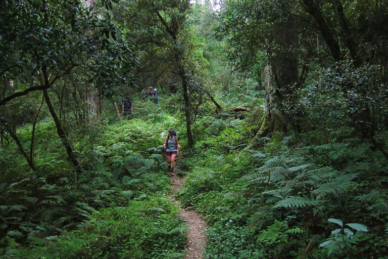 Au départ du Cap : 4 jours d'excursion de luxe sur la Route des jardins