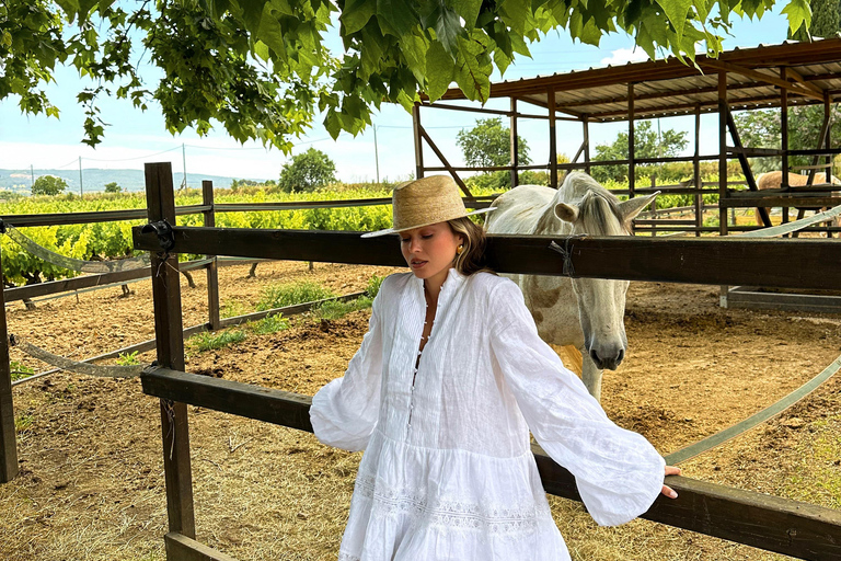 El Cotillo: Sunset Cliff Horseback Ride with Drink
