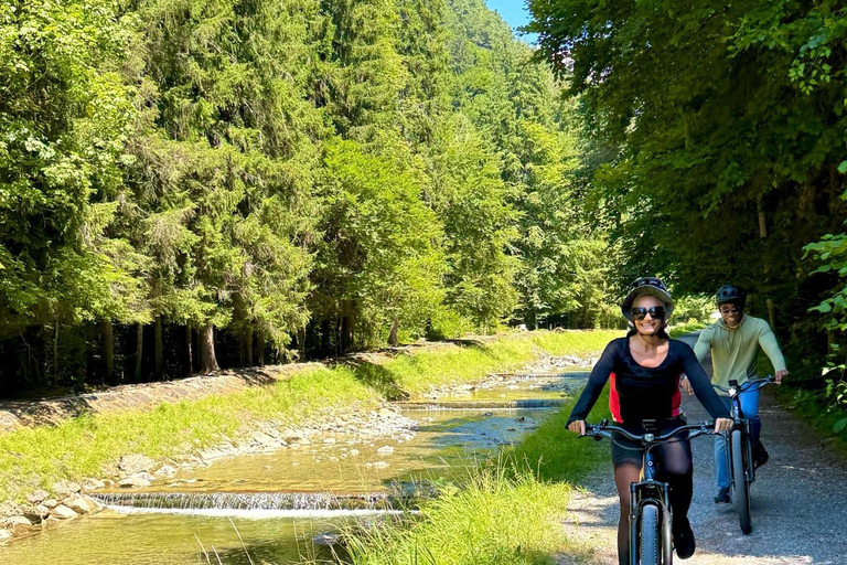 Odkryj Interlaken – jeziora, ruiny i widoki na wycieczce e-roweremOdkryj Interlaken – jeziora, ruiny i widoki: wycieczka na e-rowerze