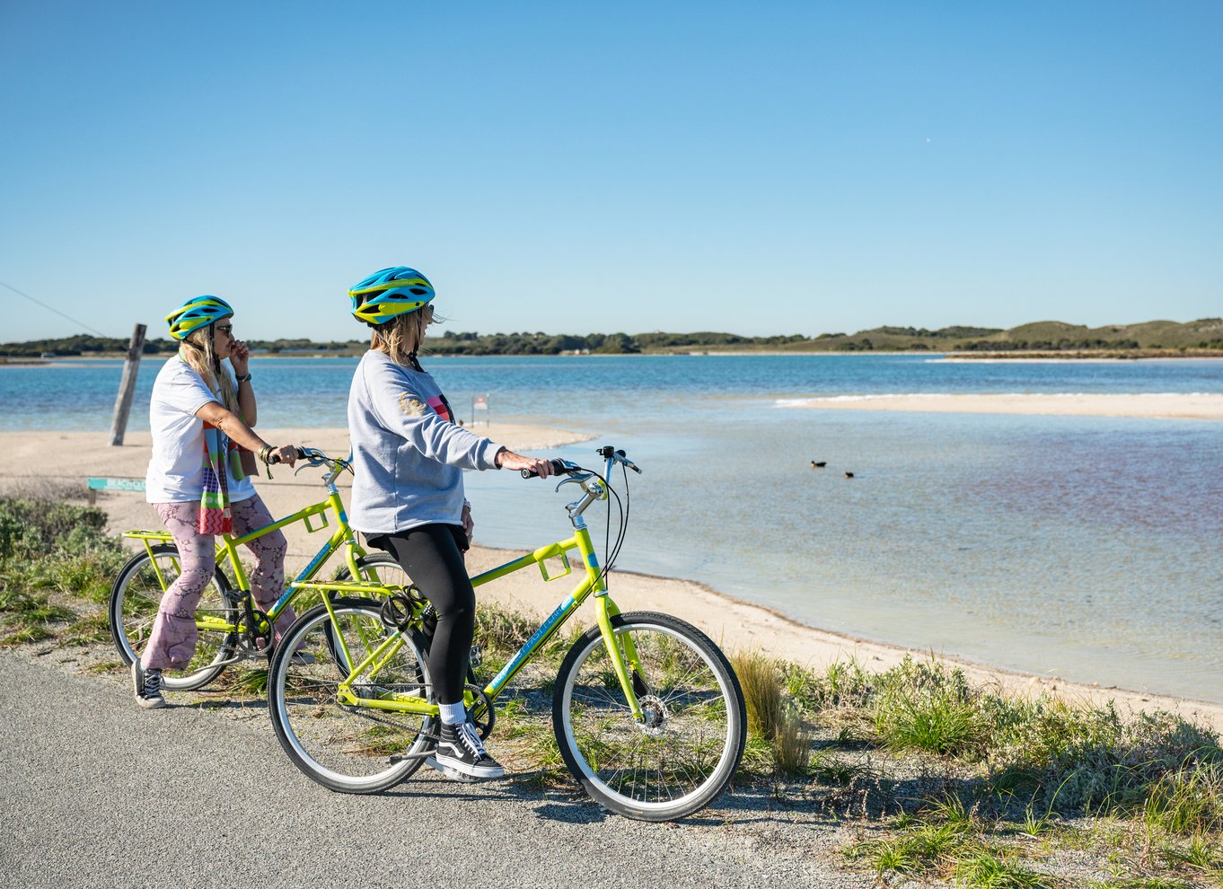 Fra Perth: Rottnest Island heldags cykel- og færgetur