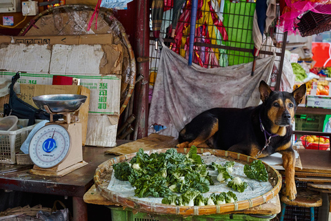 Hong Kong: visita fotográfica ao bairro de Yau Tsim Mong em Kowloon.