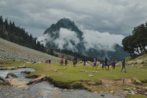 Stepantsminda: Alpine Valley Horseback Tour