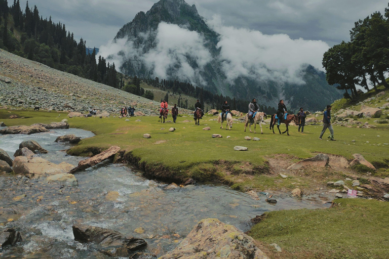 Stepantsminda: Alpine Valley Horseback Tour