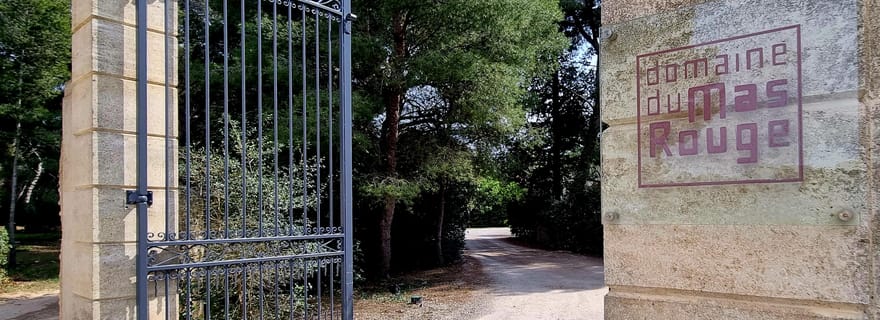Mas Rouge : Visite et Dégustation de Muscat près de Montpell