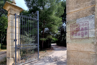 Mas Rouge: Muscat Tour and Tasting near Montpellier