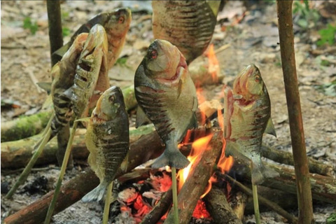 Luang Prabang: Esperienza di campeggio nella foresta con lezione di cucina