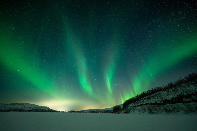 Tromsø: Reindeer Camp Visit & Aurora Chase