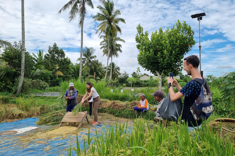 Lombok: Tour Privado Personalizado con Conductor-GuíaExcursión al norte de Lombok