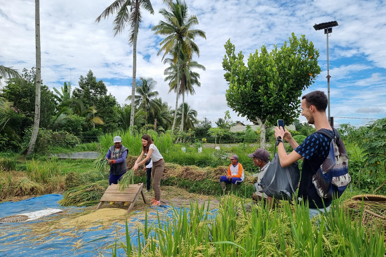 Lombok: Private Customizable Tour with Driver-Guide North Lombok Tour From South Lombok