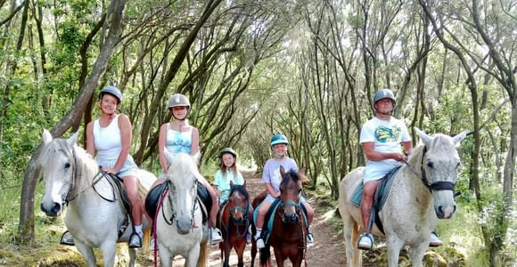 Tenerife: Horse riding on the way to Teide