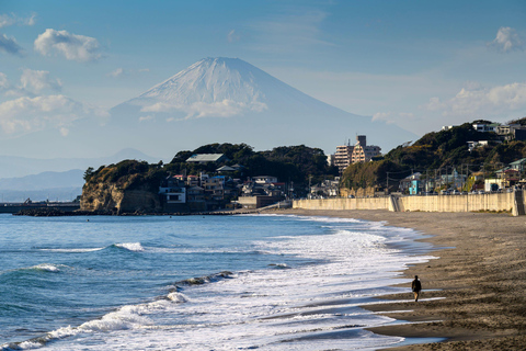Tokyo: Enoshima, Kamakura, & Yokohama Tour (Enoden Included) Kamakura Y, from Shinjuku