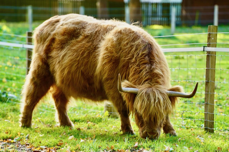 Edimburgo: Lugares emblemáticos de Outlander Visita guiada de un día