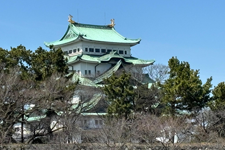 Nagoya: Grand Sumo Tournament Tour 1PM: Castle Walking Tour + Chair A in the arena
