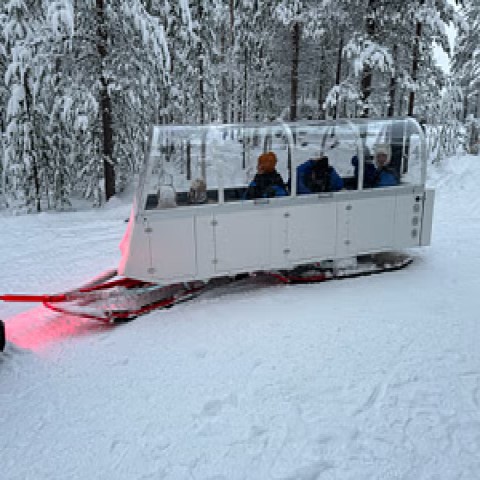 Visit INARI : Northern Lights Safari with Heated Snowmobile Sleigh in Ivalo