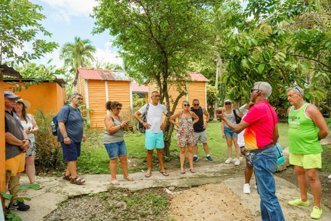 Punta Cana safari experience and historical city tour Half-day city tour and safari