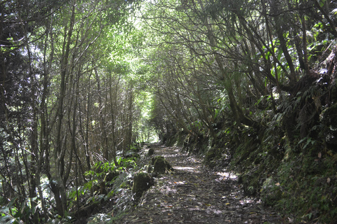 Sao Miguel Hike to Janela do Inferno and Lagoa do Fogo