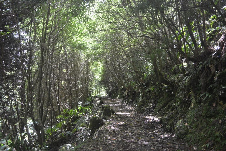 Sao Miguel Hike to Janela do Inferno and Lagoa do Fogo