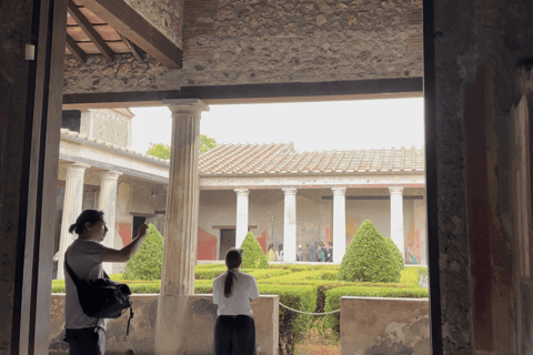 From Naples: Pompeii Tour with ticket and tour guide included From Naples: Tour of Pompeii with ticket and guide included