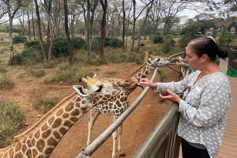 Nairobi : visite de l'orphelinat des éléphants et du centre des girafesVisite de l'orphelinat des éléphants, du centre des girafes et des bomas du Kenya
