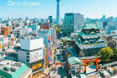 大阪：プライベート送迎付きカスタマイズ可能な1日ツアー