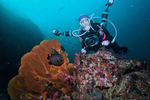 Pattaya: Discover Scuba Diving Experience with Instructor