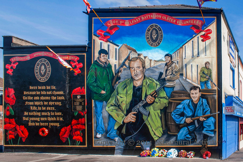 Belfast : visite politique en taxiBelfast : visite historique en taxi noir