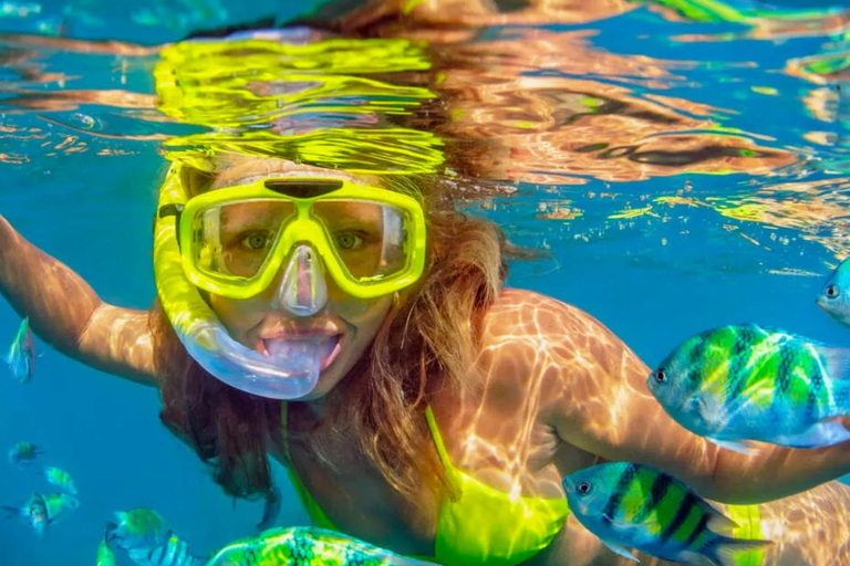 Cartagena: Excursão ao Oceanário das Ilhas do Rosário com SnorkelingPasseio de lancha rápida com 3 paradas no Oceanário das Ilhas do Rosário