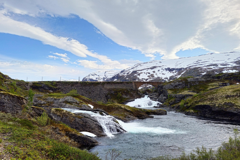 Guided, electric bicycle tour from Vatnahalsen (near Flam) Guided e-bike tour from Vatnahalsen (Myrdal) - Rallarvegen
