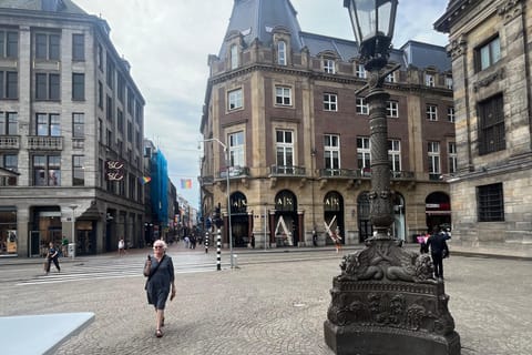 Amsterdam: Private Walking Tour with a Local