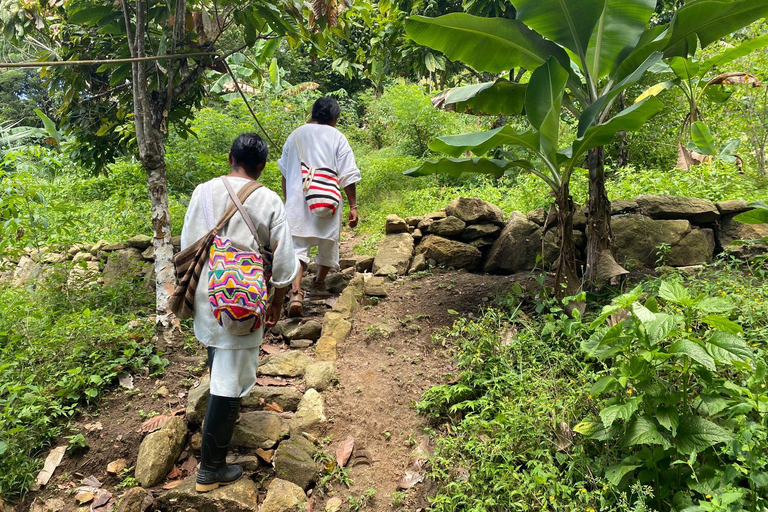 Santa Marta: Indigenous Cultural Experience | 2 Days and 1 Night Santa Marta: Indigenous cultural experience | 2 days and 1 night