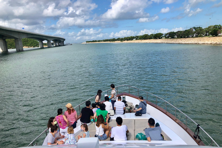 Lantau Island: Pink Dolphin Watching from Hong Kong