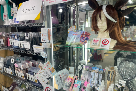 Tokio: Poznaj 10 uroków dzielnicy Akihabara!