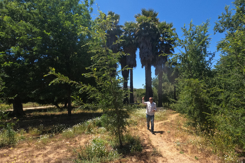 Curacaví Valley: Private Wine Tour of Viña Lopez Pangue and El Cuadro Curacaví Valley: Private Wine Route Tour - Viña Lopez Pangue and El Cuadro