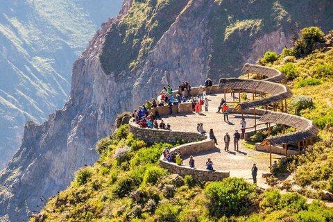 Colca Canyon Day Trip + Transfer to Puno with Meals