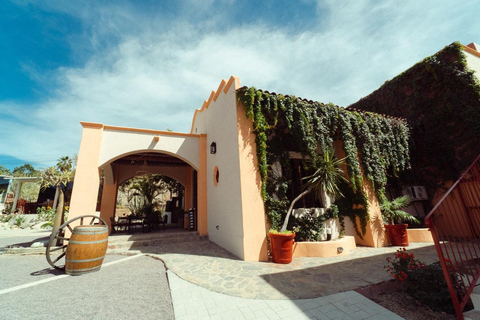 From La Playa: Vineyard Tour w/ Tasting & Todos Santos Stop