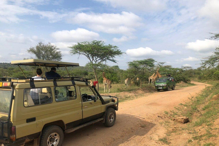 3 Days Lake Mburo National Park Safari Tour, Uganda