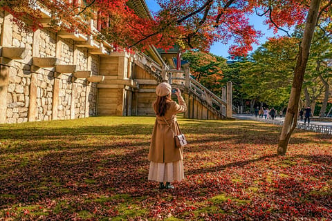 Gyeongju Autumn Foliage & Pink Muhly Tour from Busan - Image 2