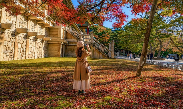 Gyeongju Autumn Foliage & Pink Muhly Tour from Busan