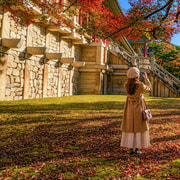 Gyeongju Autumn Foliage & Pink Muhly Tour from Busan