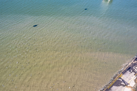 Seúl: Teleférico de Seohaerang, Cueva de Gwangmyeong, etc (EG Tour)Excursión en grupo compartido, encuentro en la estación Hongik Univ