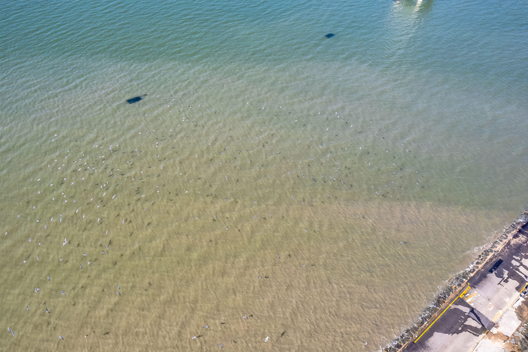 Seúl: Teleférico de Seohaerang, Cueva de Gwangmyeong, etc (EG Tour)Excursión en grupo compartido, encuentro en la estación Hongik Univ