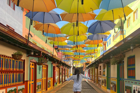 جولة غواتابي: ألتو ديل تشوتشو، وبيدرا ديل بينيول، والغداء، والمزيد