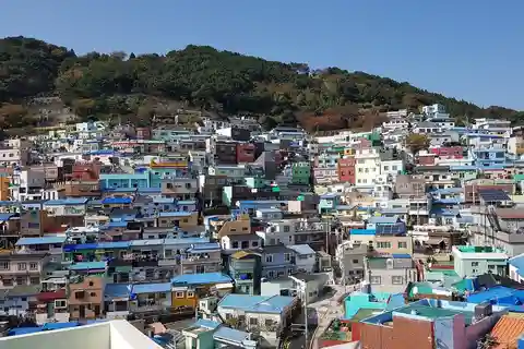 Busan private full day tour by KTX from Seoul