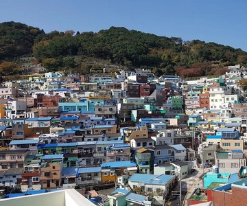 Busan private full day tour by KTX from Seoul