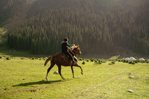 Quebec City: Mountain Trail Horseback Discovery Ride
