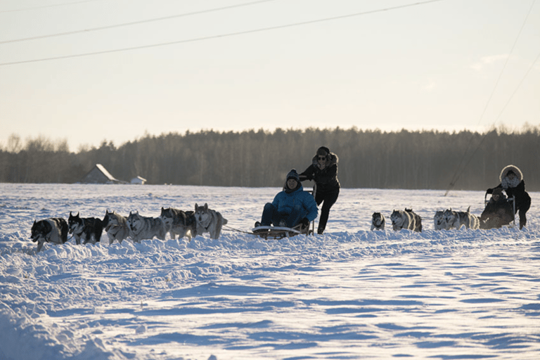 Riga: Upplevelse med huskysläde