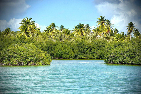 Private: Saona Island Hidden Gems Tour for Cruise Travelers