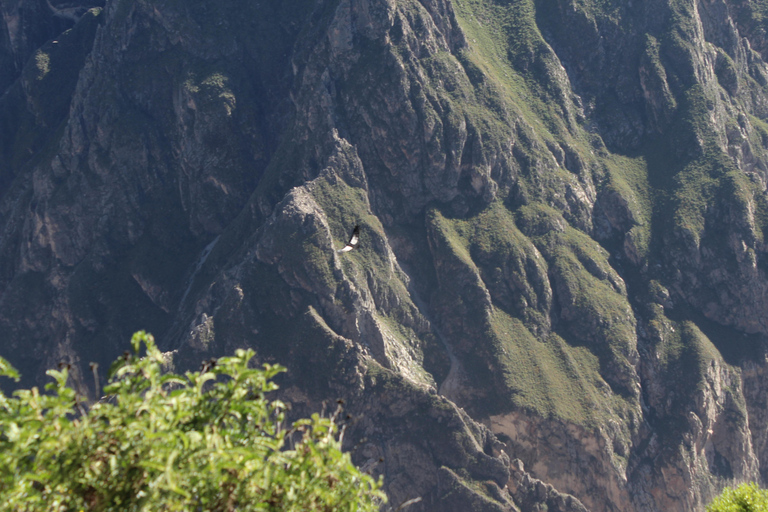 Het Peru van de Andes