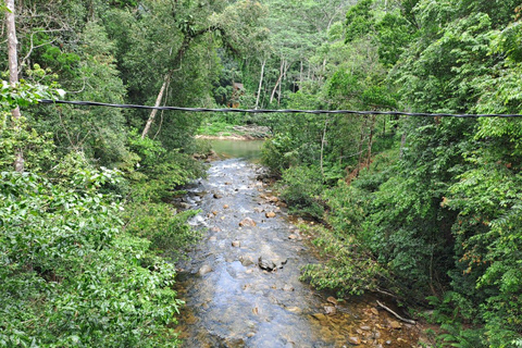 辛哈拉加雨林之旅