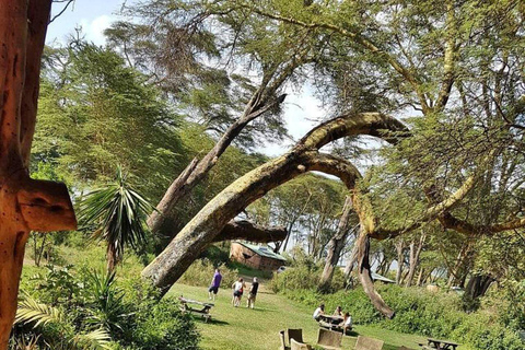 From Nairobi: Naivasha Wellness Retreat with Nature Walks